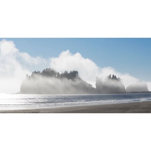 Wild, Jamie and Judy 아티스트의 Washington State-Pacific Coast-First Beach James Island in fog작품입니다.